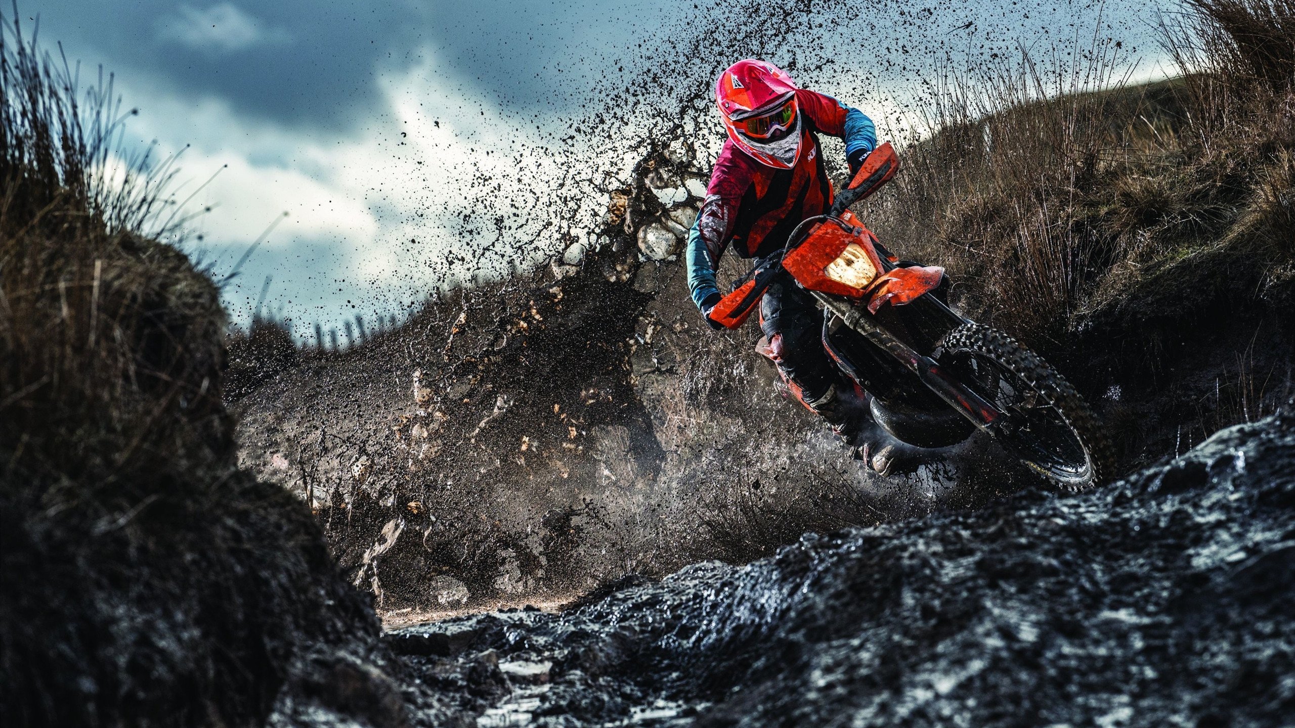 篮网队签约新星，力求更上一层楼，篮网新签约球员