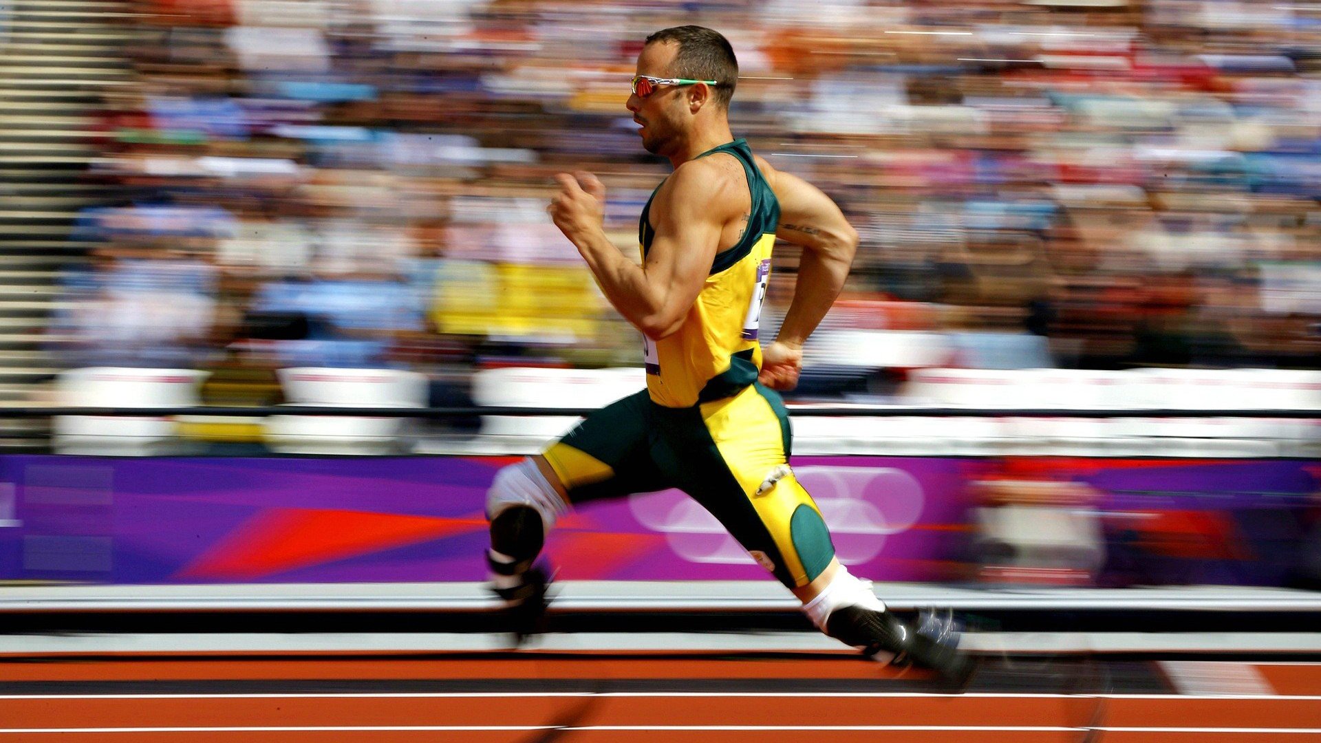 湖人内线组合逐渐稳定雷迪克调整见成效，湖人队内线